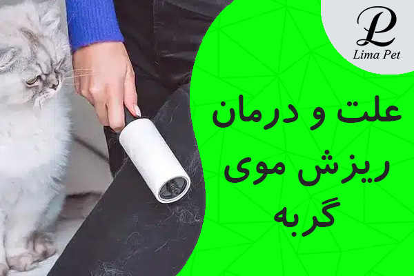 علت و درمان ریزش موی گربه
