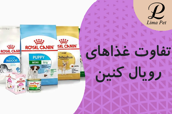 تفاوت غذاهای رویال کنین