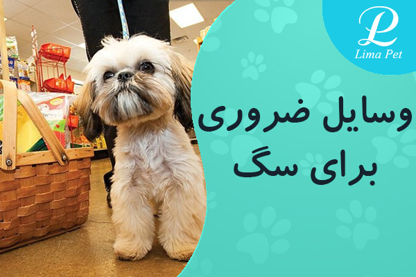 لیست وسایل ضروری برای نگهداری سگ خانگی