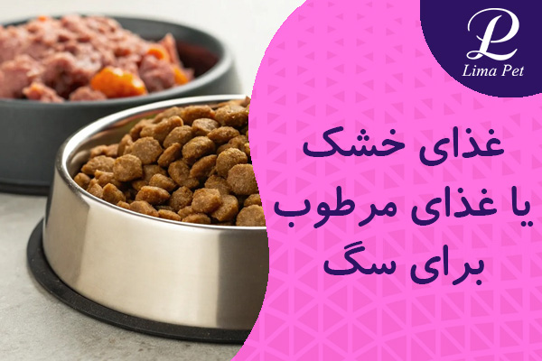 dry-or-wet-food-for-dogs
