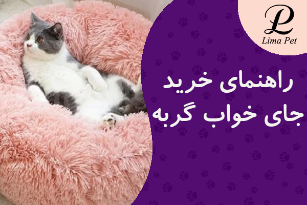 راهنمای خرید جای خواب گربه