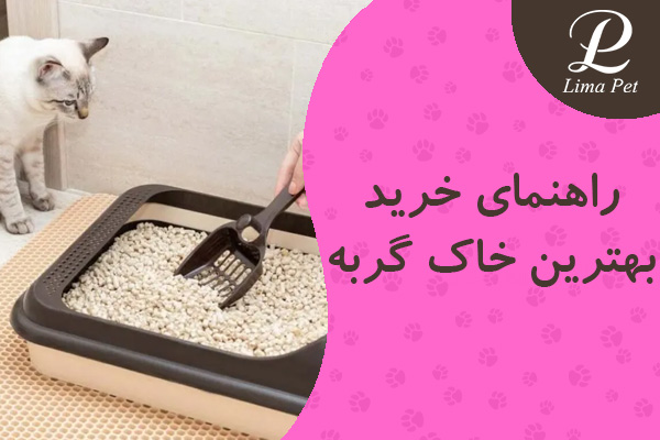 راهنمای خرید بهترین خاک گربه