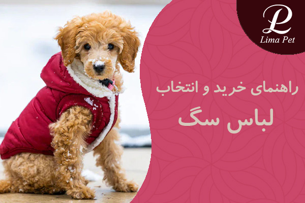راهنمای خرید و انتخاب لباس سگ