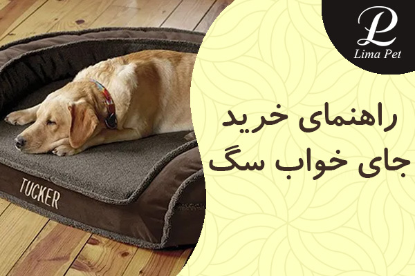 راهنمای خرید جای خواب سگ