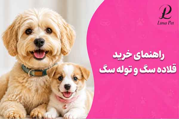 راهنمای خرید قلاده سگ و توله سگ