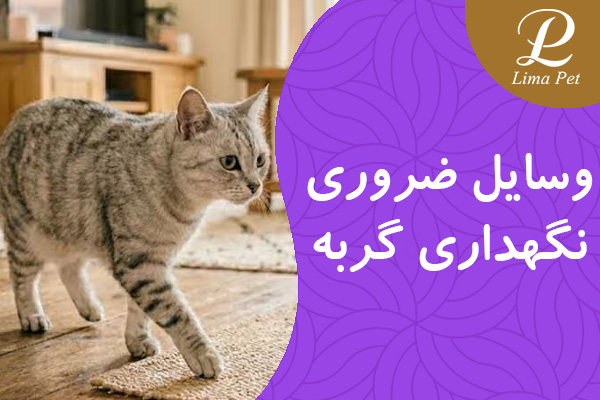وسایل ضروری نگهداری گربه