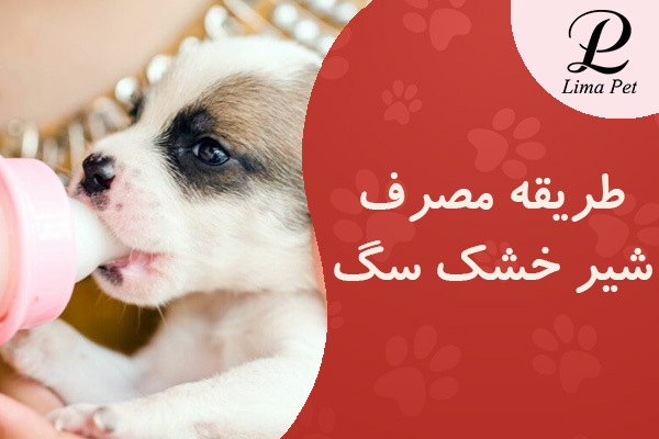 طریقه مصرف شیر خشک سگ