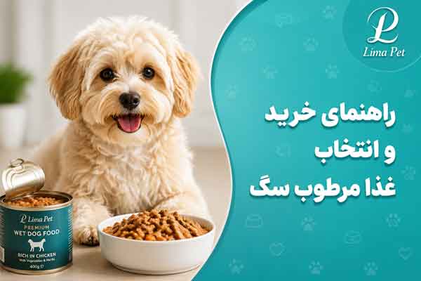 راهنمای خرید و انتخاب غذا مرطوب سگ