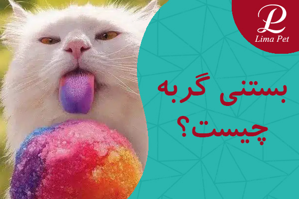 بستنی گربه چیست؟