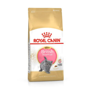 غذای خشک گربه بریتیش کیتن رویال کنین Royal Canin وزن 2 کیلوگرم