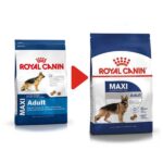 خرید غذای خشک سگ رویال کنین مدل ماکسی ادالت – Royal Canin Maxi Adult