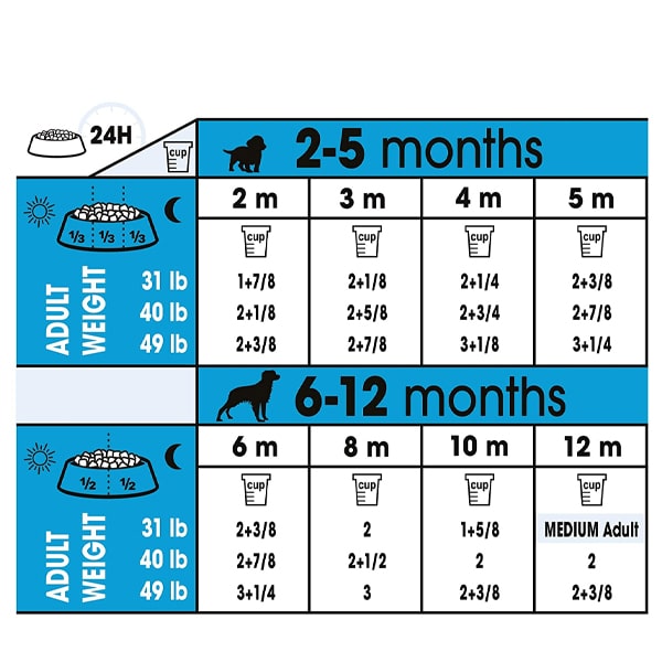 طریقه مصرف غذای خشک سگ رویال کنین مدل مدیوم پاپی