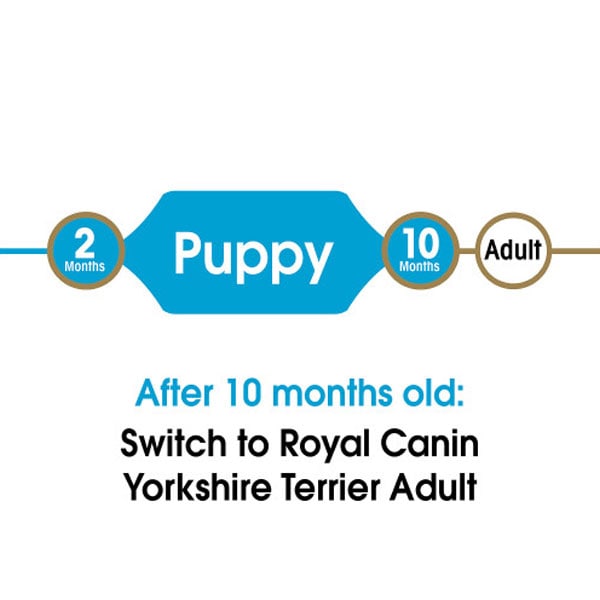 غذای توله سگ یورکشایر رویال کنین مدل پاپی وزن ۱.۵ کیلوگرم - Royal Canin Yorkshire Puppy