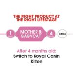 خرید غذای خشک گربه رویال کنین مدل مادر اند بیبی وزن 2 و 4 کیلوگرم - Royal Canin Mother And Babycat
