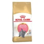 غذای خشک گربه رویال کنین مدل بریتیش شورت هیر کیتن وزن 2 کیلوگرم - Royal Canin British shorthair Kitten