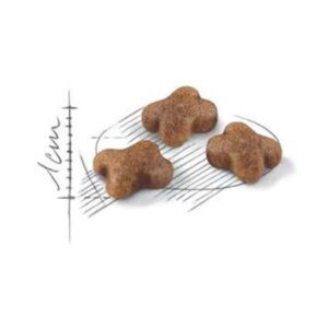 غذای خشک گربه رویال کنین مدل کیتن وزن 4 کیلوگرم - Royal Canin Kitten(3)