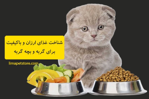 خرید غذای ارزان برای گربه - شناخت غذای ارزان و باکیفیت برای گربه و بچه گربه - لیما پت شاپ