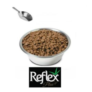 غذای خشک گربه کیتن رفلکس پلاس با طعم مرغ وزن 1.5 کیلوگرم - Reflex Plus Chicken Kitten