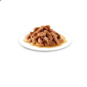 پوچ بچه گربه رویال کنین مدل کیتن وزن 85 گرم - Royal Canin Kitten