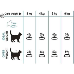 غذای گربه هیربال رویال کنین وزن 2 کیلوگرم - Royal Canin Hairball