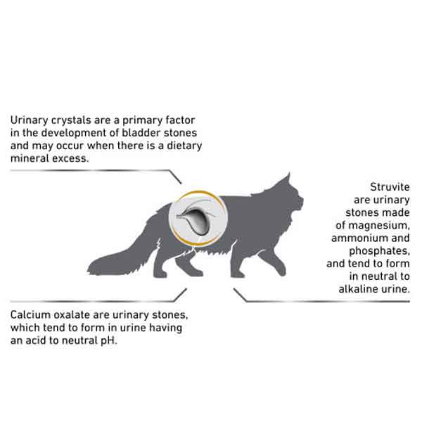 غذای گربه یورینری اس او رویال کنین وزن 1.5 کیلوگرم - Royal Canin Urinary S/O