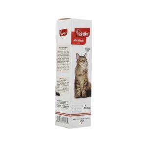 خمیر مالت گربه بیوفلین وزن 100 گرم - BioFline