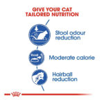 غذای خشک گربه ایندور رویال کنین Royal Canin وزن 10 کیلوگرم