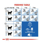 غذای خشک گربه ایندور رویال کنین Royal Canin وزن 10 کیلوگرم