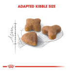 غذای خشک گربه سنسیبل رویال کنین Royal Canin وزن 2 کیلوگرم