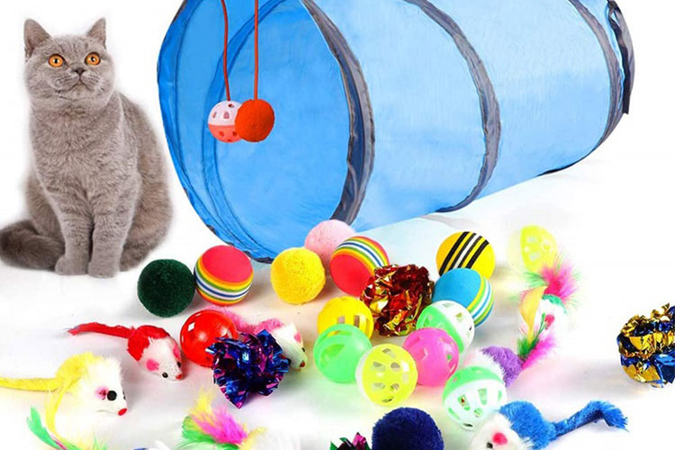 راهنمای خرید و انتخاب اسباب بازی برای گربه