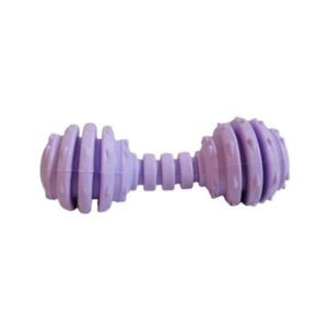 اسباب بازی دندانی سگ کتیز مدل دمبل