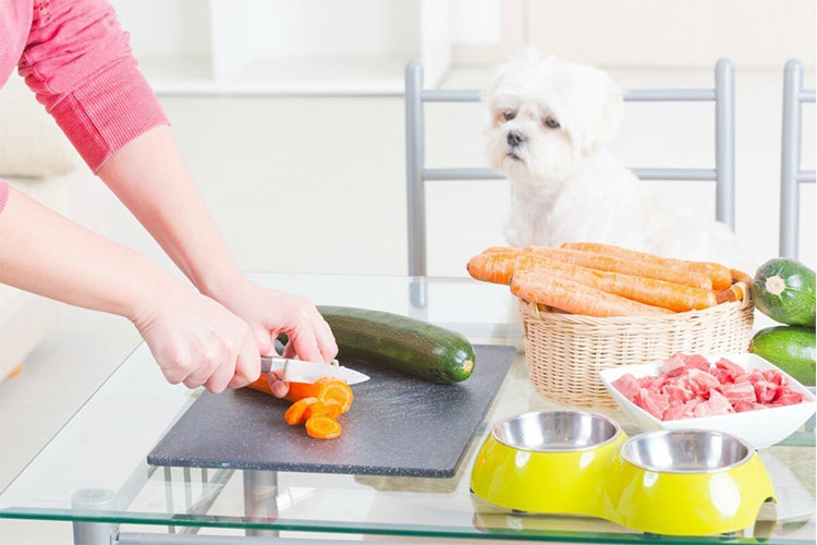 سبزیجات مفید برای سگ خانگی