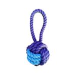 اسباب بازی دندانی کنفی سگ به همراه طناب