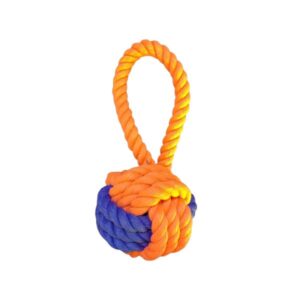 اسباب بازی دندانی کنفی سگ به همراه طناب