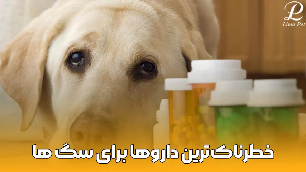 خطرناکترین داروها برای سگ ها - لیما