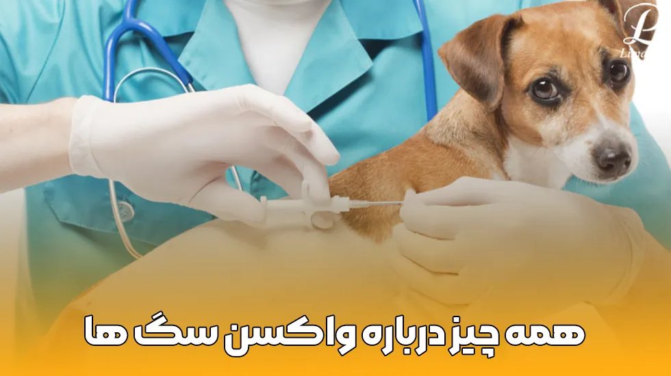 همه چیز درباره واکسن سگ ها- پت شاپ لیما
