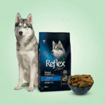 غذای خشک سگ بالغ نژاد متوسط و بزرگ طعم سالمون رفلکس پلاس Reflex Plus وزن 3 کیلوگرم
