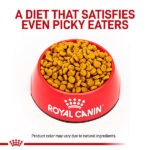 غذای خشک سگ هپاتیک رویال کنین Royal Canin وزن 1.5 کیلوگرم