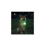 آویز قلاده سگ ام پتس M-pets مدل چراغ دار