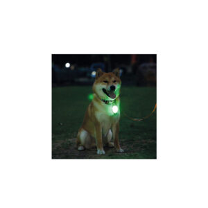 آویز قلاده سگ ام پتس M-pets مدل چراغ دار