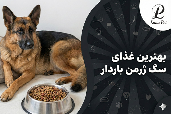 بهترین غذای سگ برای ژرمن باردار