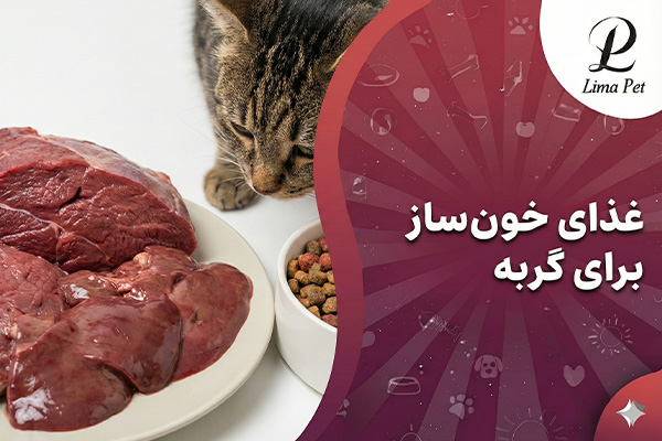 غذای خون ساز برای گربه