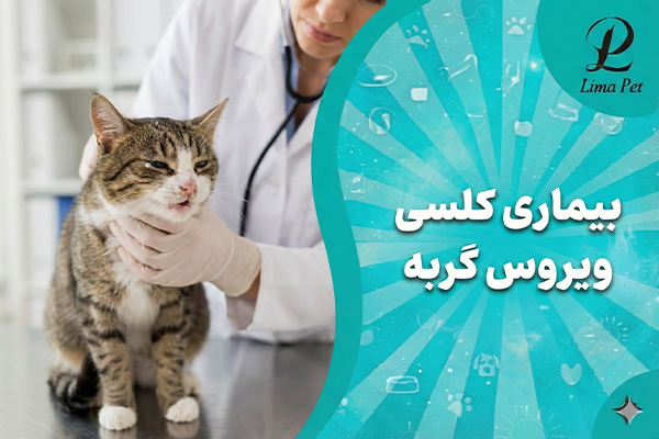 بیماری کلسی ویروس گربه ها