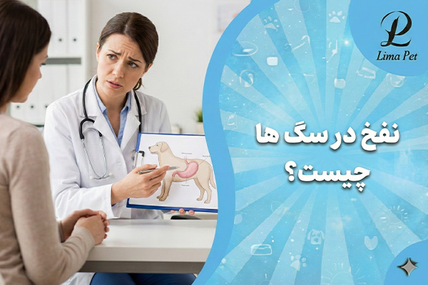 نفخ در سگ ها چیست؟