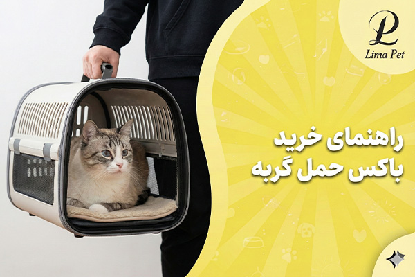 راهنمای خرید باکس حمل گربه