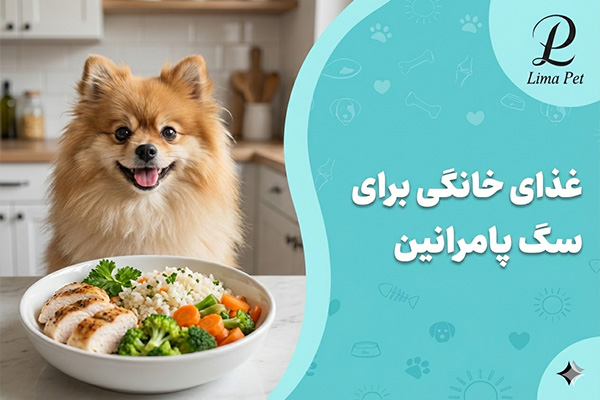 طرز تهیه غذای خانگی برای سگ پامرانین