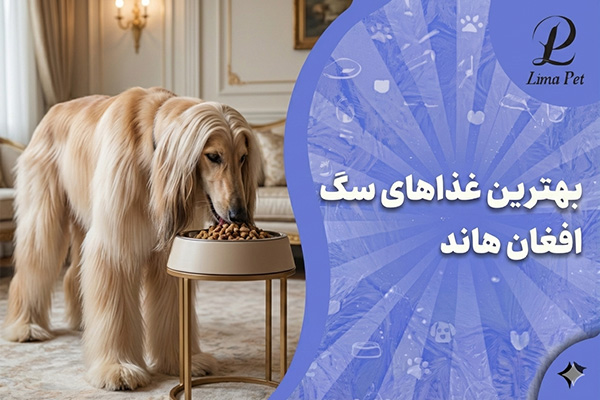 بهترین غذاهای سگ افغان هاند