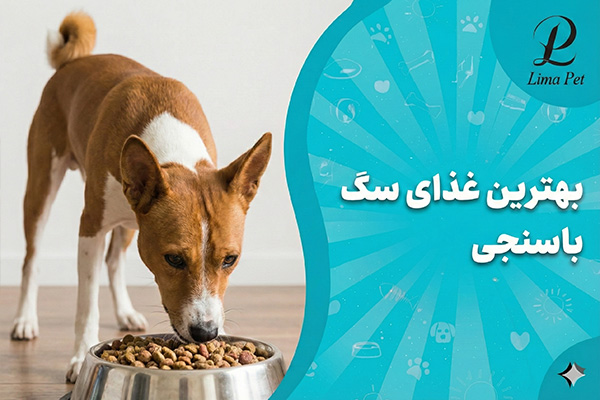 بهترین غذای سگ باسنجی