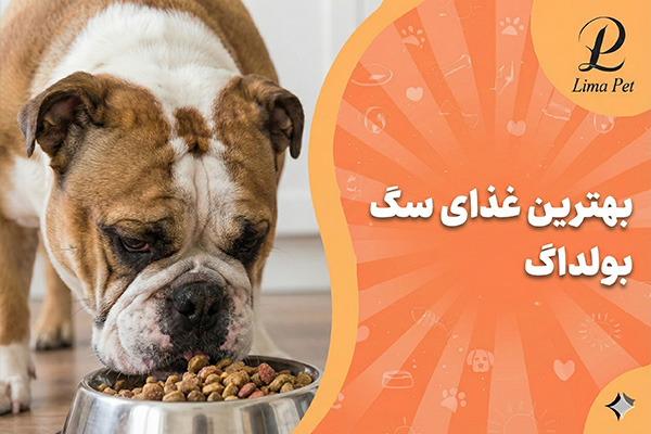 بهترین غذای سگ بولداگ