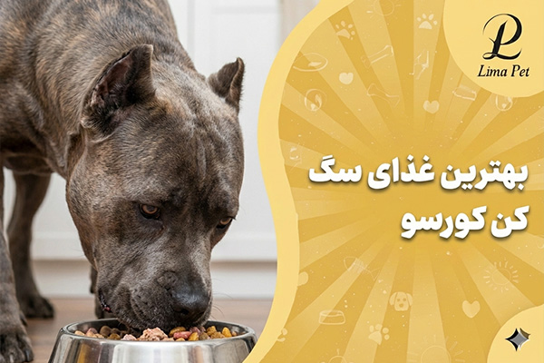 بهترین غذای سگ کن کورسو